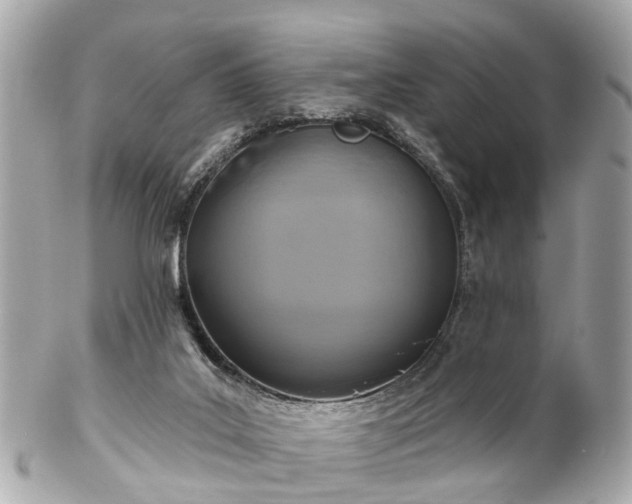 X0000102500019200808151532