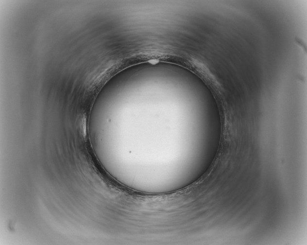 X0000102500021200808151532