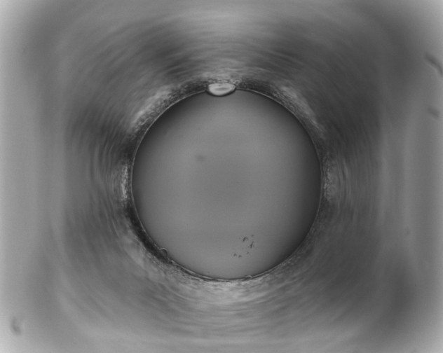 X0000102500023200808151532