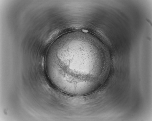 X0000102500024200808151532