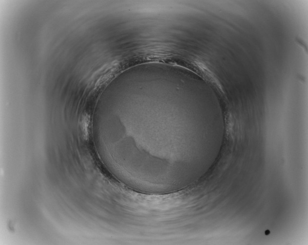 X0000102500026200808151532