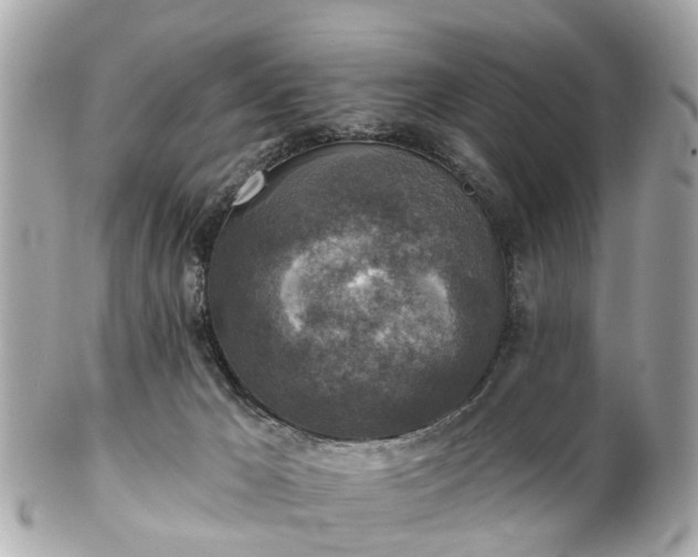 X0000102500029200808151532