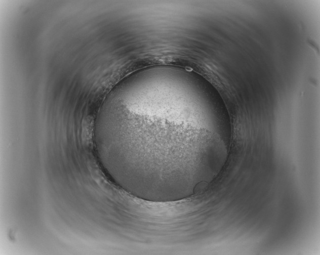 X0000102500030200808151532