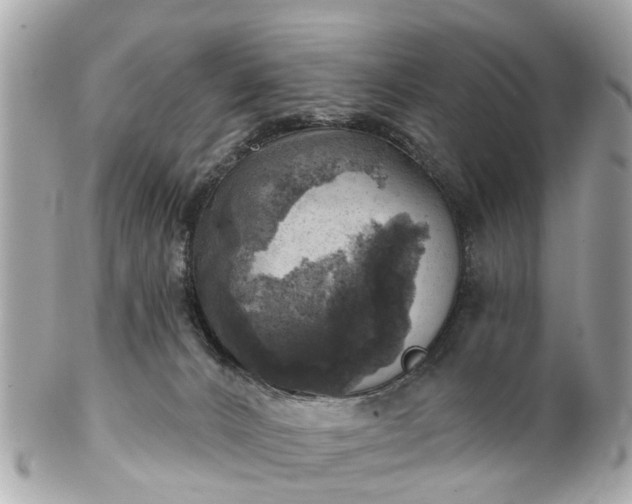 X0000102500032200808151532