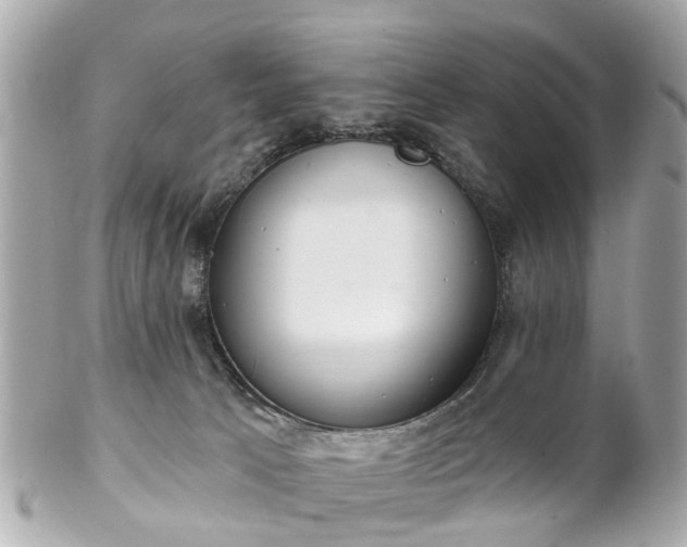 X0000102500033200808151532