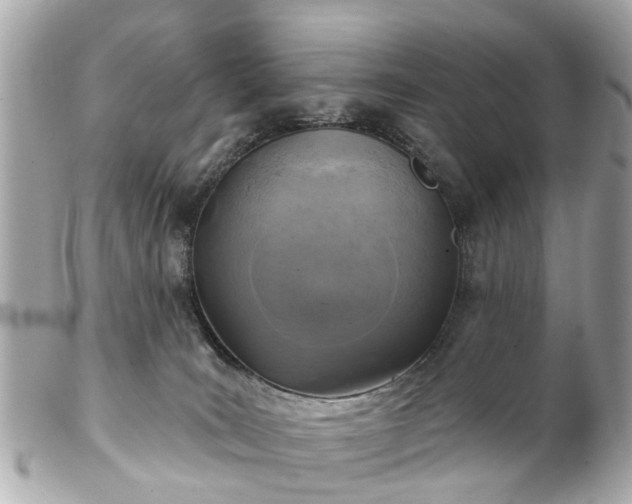 X0000102500035200808151532