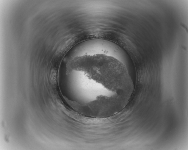 X0000102500036200808151532