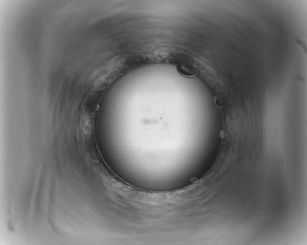 X0000102500037200808151532