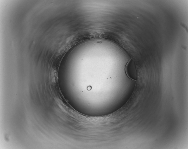 X0000102500038200808151532