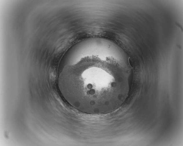 X0000102500040200808151532