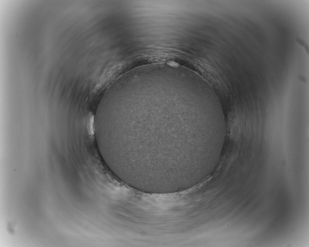 X0000102500041200808151532