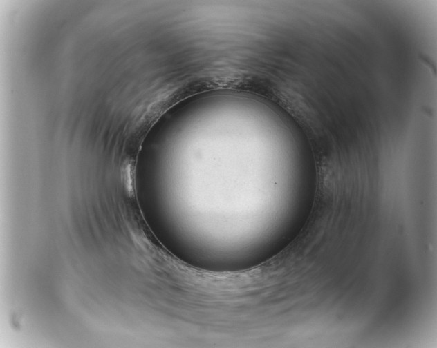 X0000102500042200808151532