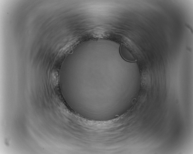 X0000102500043200808151532