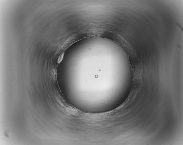 X0000102500045200808151532