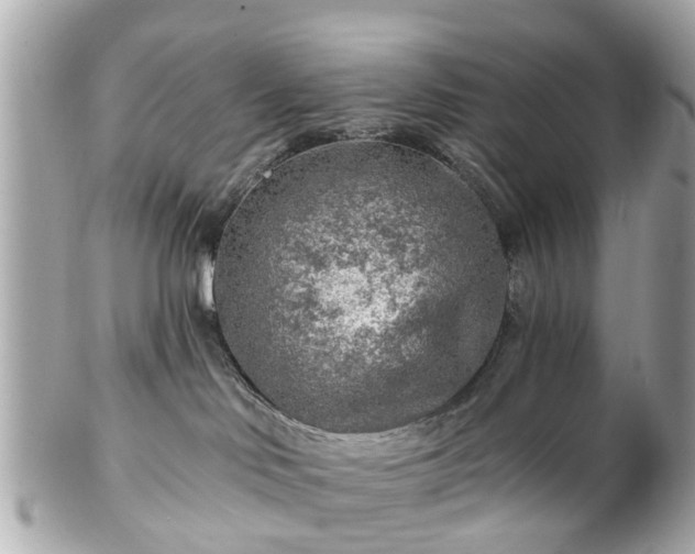 X0000102500046200808151532