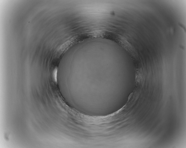 X0000102500047200808151532