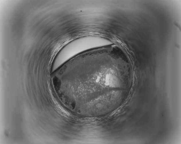 X0000102500049200808151531