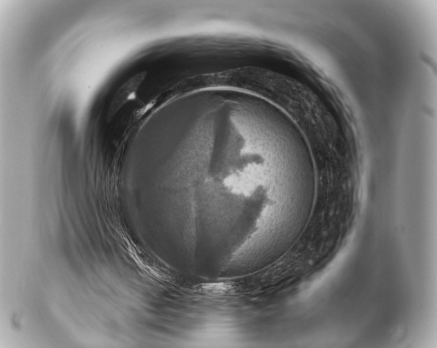 X0000102500050200808151531