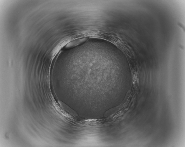 X0000102500052200808151531