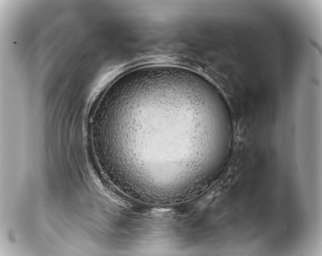 X0000102500055200808151531