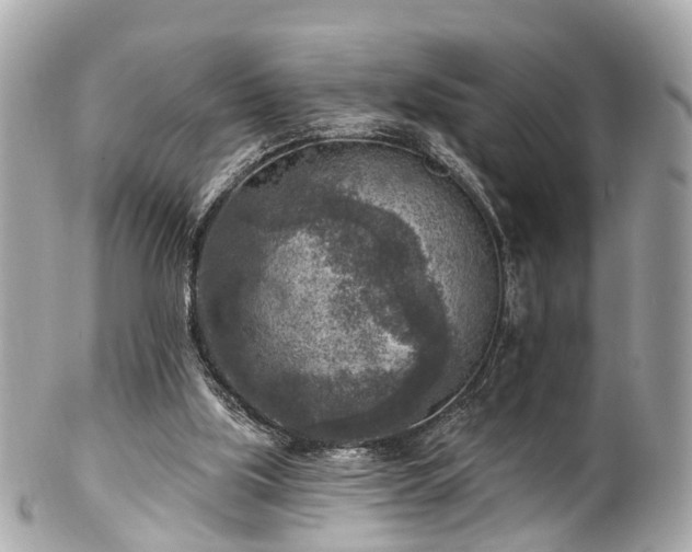 X0000102500059200808151531