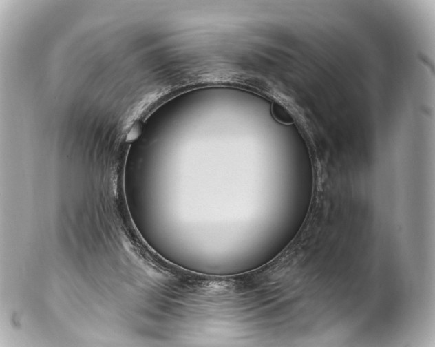 X0000102500060200808151531