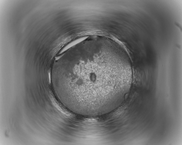 X0000102500061200808151531