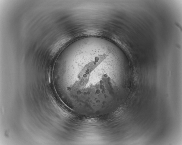 X0000102500062200808151531