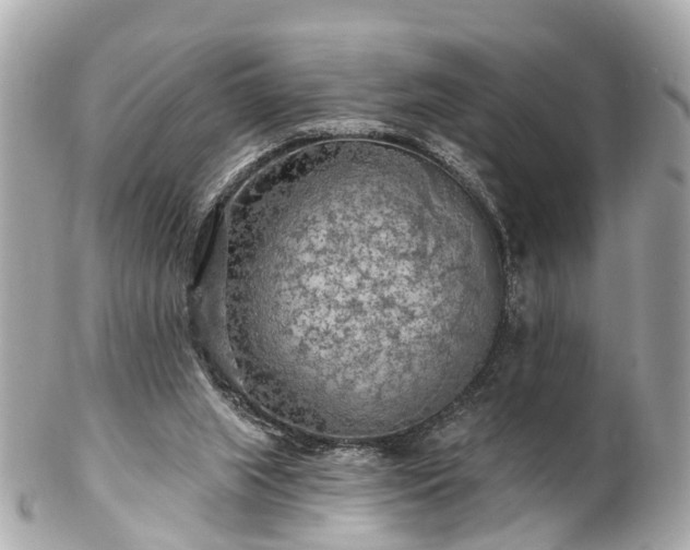 X0000102500063200808151531