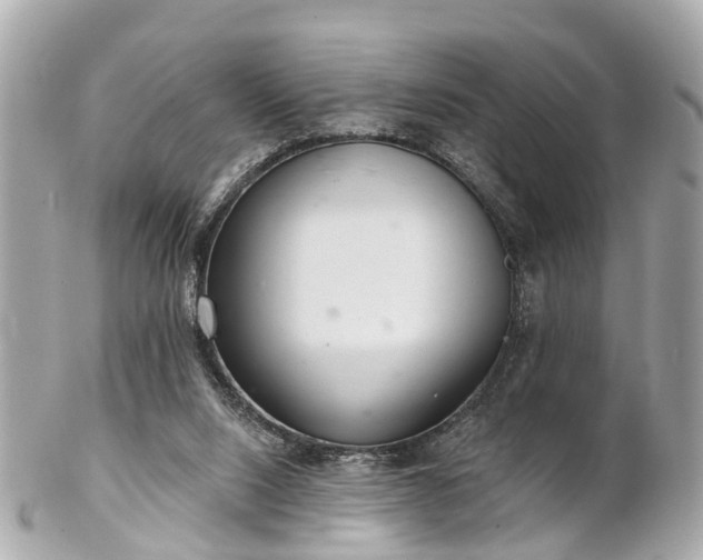 X0000102500064200808151531