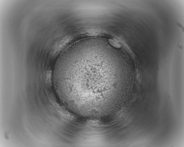 X0000102500066200808151531