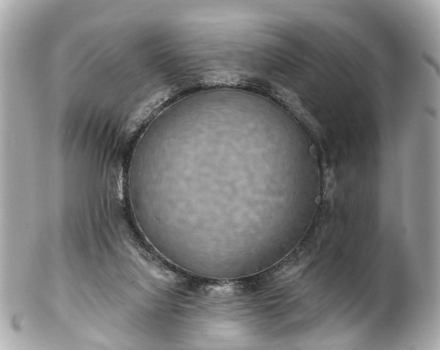 X0000102500068200808151531