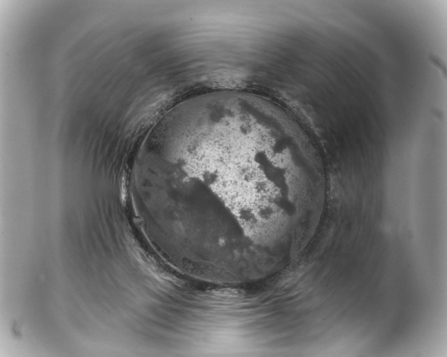 X0000102500069200808151531