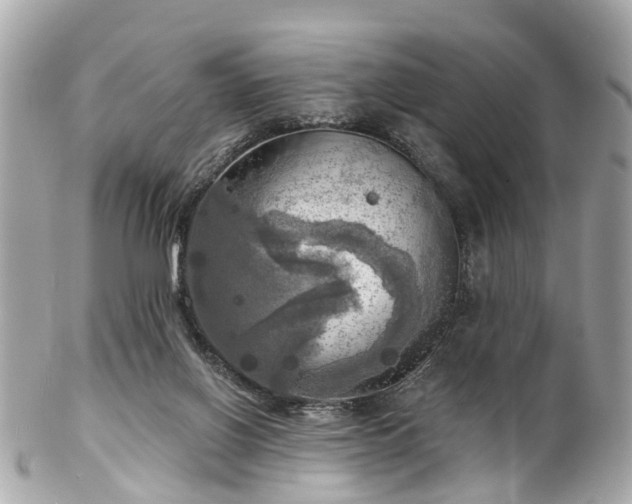 X0000102500070200808151531