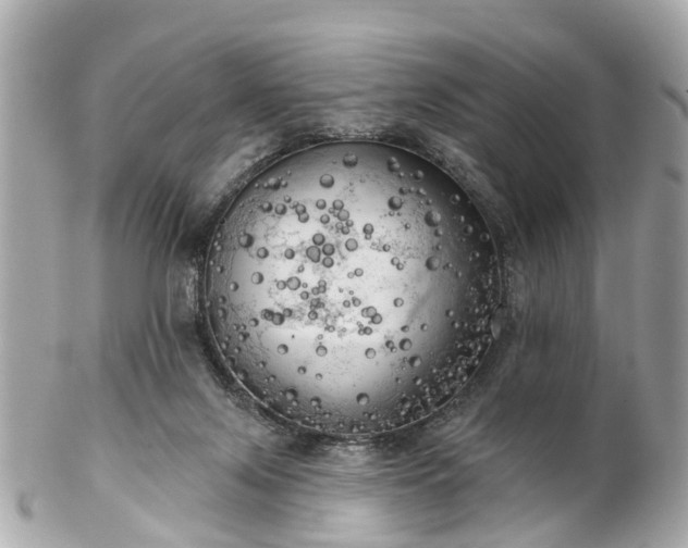 X0000102500071200808151531