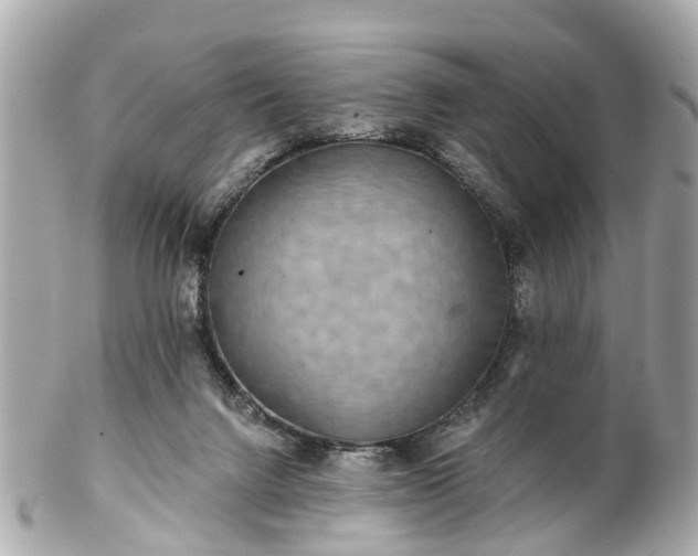 X0000102500072200808151531