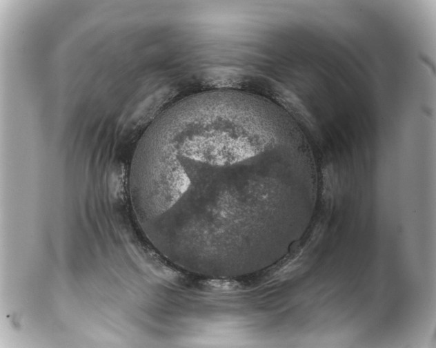 X0000102500073200808151531