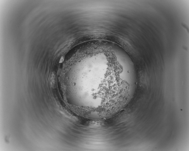 X0000102500077200808151532