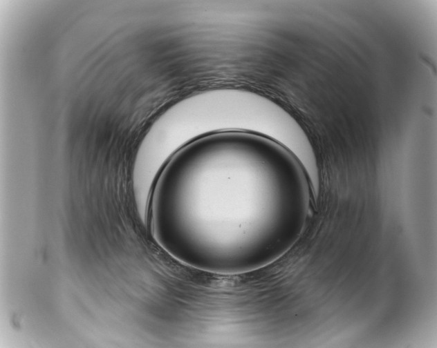 X0000102500080200808151532