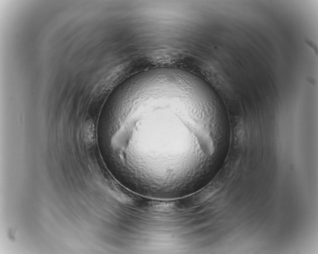 X0000102500081200808151532