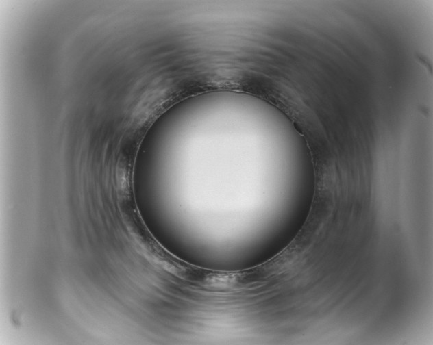 X0000102500084200808151532