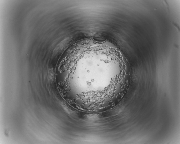 X0000102500085200808151532