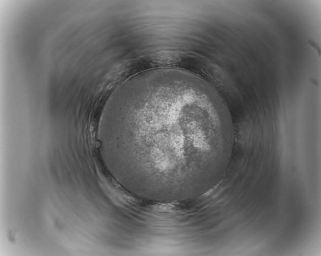 X0000102500086200808151532