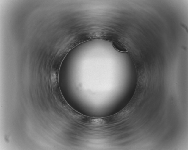 X0000102500087200808151532