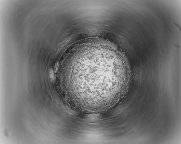 X0000102500089200808151532