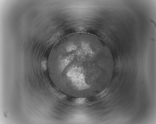 X0000102500090200808151532