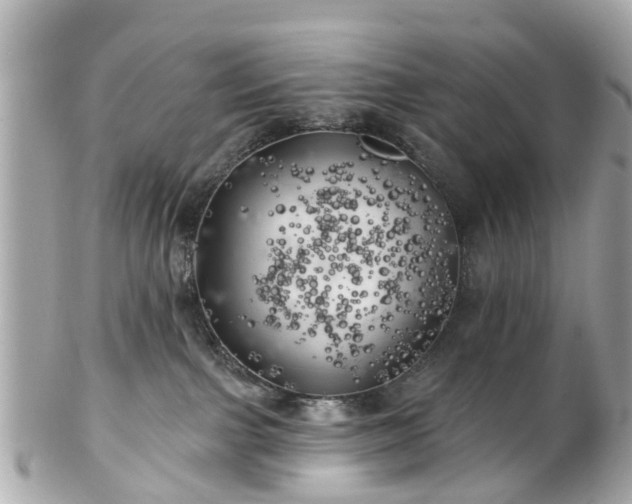 X0000102500091200808151532