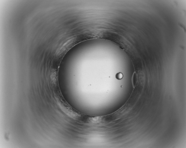 X0000102500092200808151532