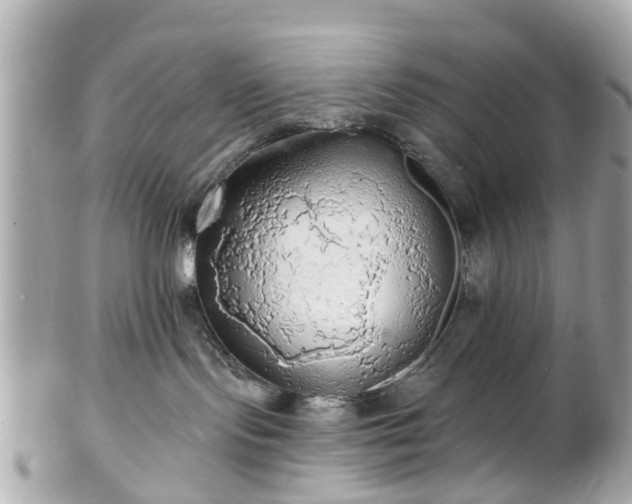 X0000102500095200808151532