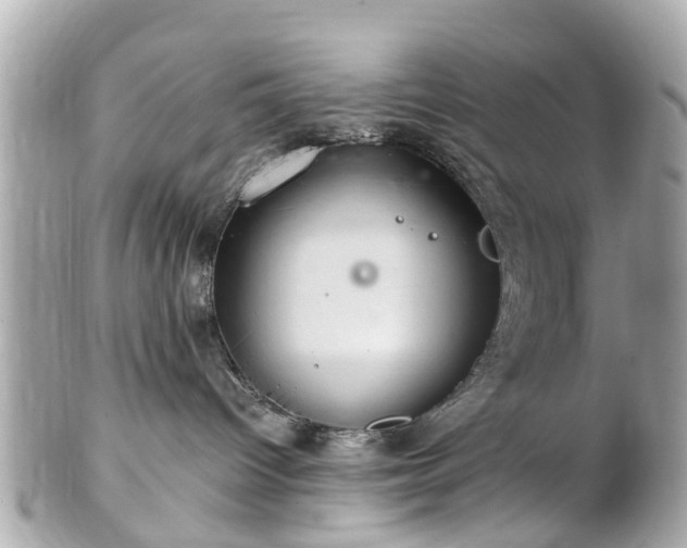 X0000102500096200808151532